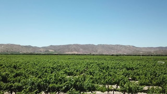 Valley of Guadalupe Mexico