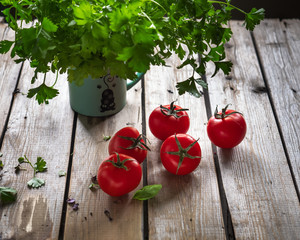 Ripe red tomatoes and a bunch of green cilantro are on an unpainted wooden table.