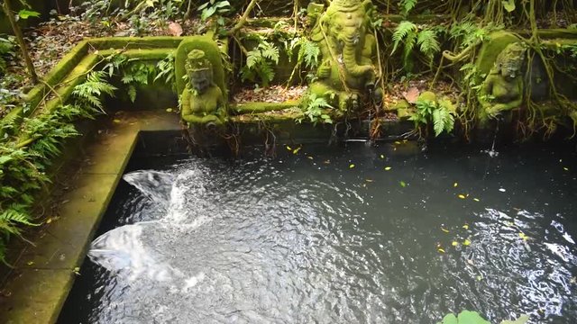 Very old and covered with green moss streaming pond in monkey forest in Bali island