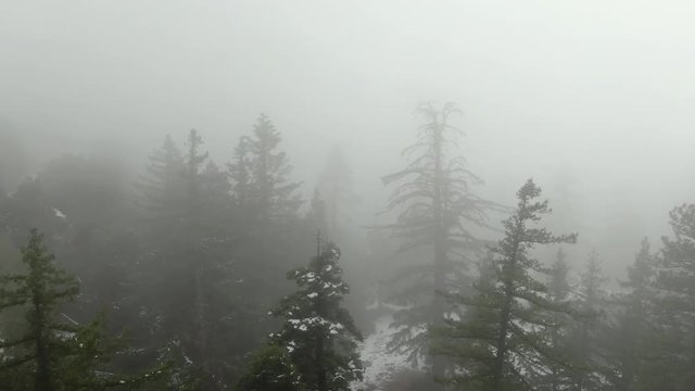 Foggy Forest in Snow Covered Mountain Aerial Shot