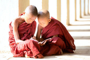 Buddhism novices are reading and study
