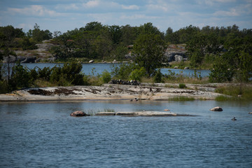 Skerries and islands in the Stockholm northen archipelago a sunny summer day at the island Furusund and Yxlan