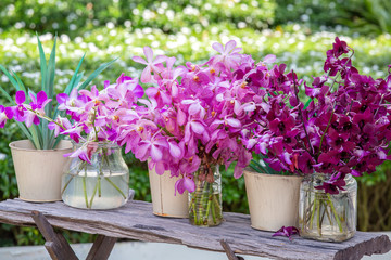 Fototapeta na wymiar Beautiful lilac pink orchids in a vase in tropical garden, outdoors, nature concept. Exotic colorful orchid bouquet