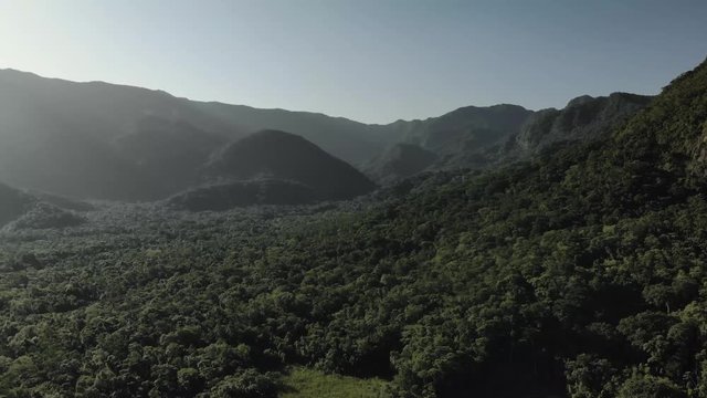 beautiful drone aerial 4k forest footage