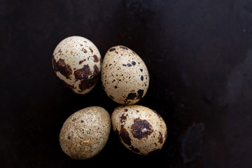 composition with small quail eggs in the bowl on the black wooden background