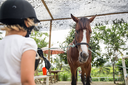 Young girl at the horse stable