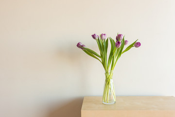 Closeup of purple tulips in glass vase on shelf against neutral wall background
