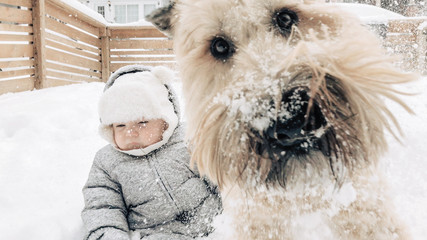 Dog photobombing a picture of a baby