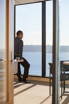 Male executive at office window.