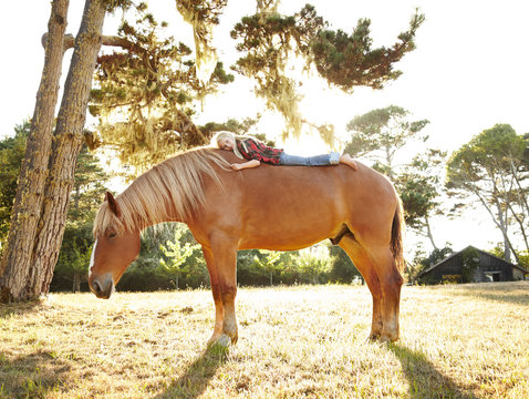 Little girl lying on draft horse in nature