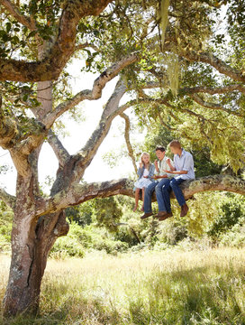 Sister with her two brothers sitting in an oak tree in nature playing "rock, paper, scissors"