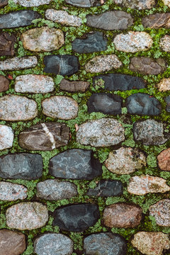 Paved and moss