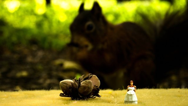 3 Haseln&uuml;sse f&uuml;r