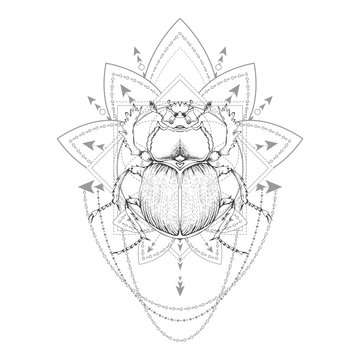 Vector illustration with hand drawn scarab and Sacred symbol on white background. Abstract mystic sign.