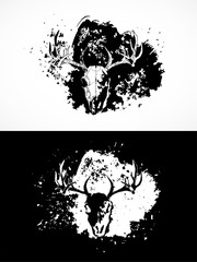 Vector illustration with wild deer skulls. Two variants: black and white silhouettes with grunge texture and spots.