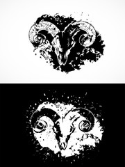 Vector illustration with wild ram skulls. Two variants: black and white silhouettes with grunge texture and spots.