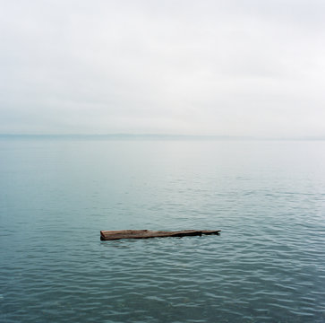 Solitary log floating in Puget Sound