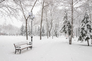 Snowy Landscape with Snowy Benches