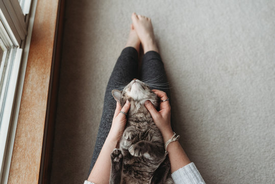 Kitty snuggles