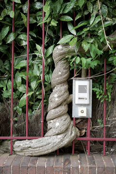 The forces of nature