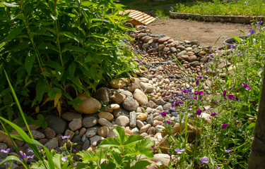 Dry creek in the garden of stones. grass and flowers grow along the bank of the brook.