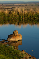 Stones in the lake 2