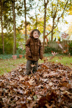 Young boy playing in the leaves after raking