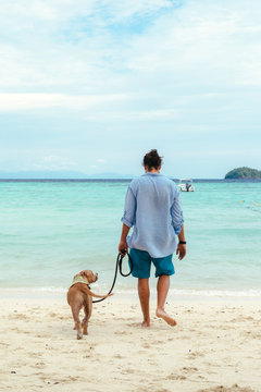Young man walking a dog on the beach