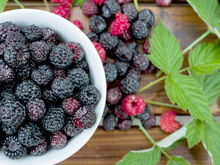 White porcelain cup with black fresh blackberry on a wooden background with green leaves. Lazy berry background