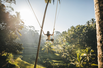 beautiful woman on a swing in green rice field scenery at sunrise