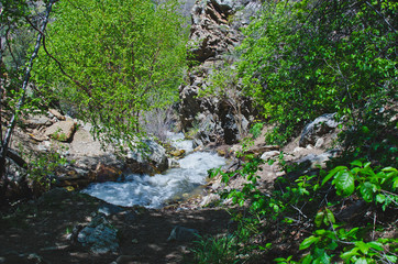 The flowing creek as it rolls of the cliffs of the woodland area. 