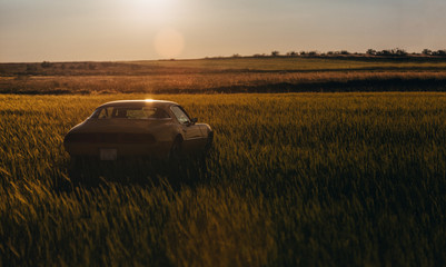 Old yellow sport classic car parked in the countryside