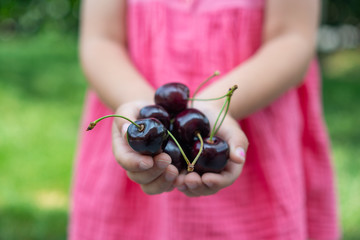 Kind hält Kirschen in der Hand