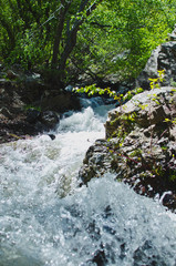 The wild rapids of the forest creek as the rush pass the rocks. 