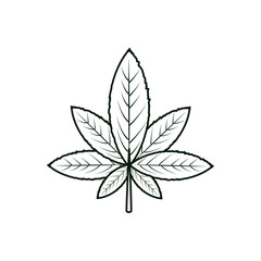cannabis leaf plant nature icon