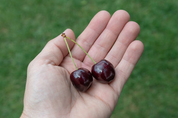 Kirsche in der Hand