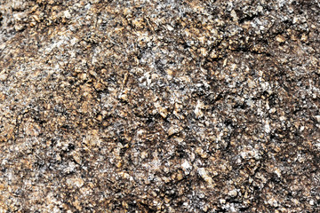 Texture of rocks on the seashore close-up. Natural stone background