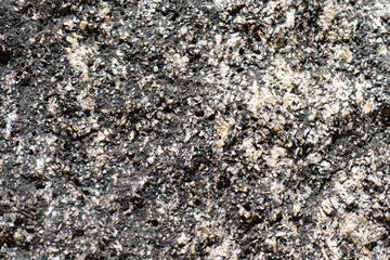 Texture of rocks on the seashore close-up. Natural stone background