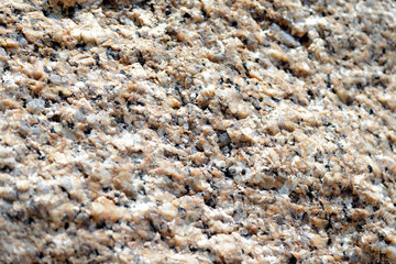 Texture of rocks on the seashore close-up. Natural stone background
