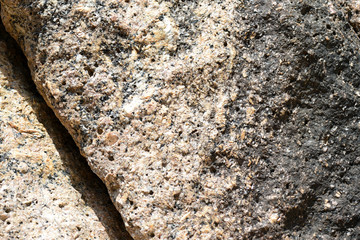 Texture of rocks on the seashore close-up. Natural stone background
