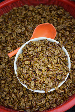 Edible silkworm pupae for sale in bulk at a Korean market