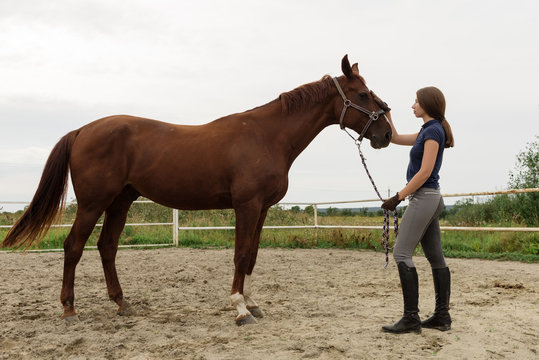 Woman standing with horse in paddock