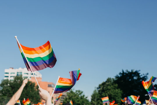 Crowd Waving Rainbow Flags At Pride Parade