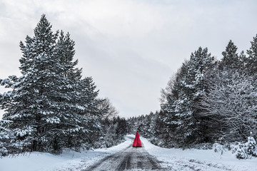 Woman in Red Cloak in Winter