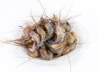 Fresh Shrimp on a white plate, on white background