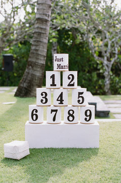 Fun outdoor wedding games ""coconut toss""