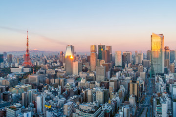 Japan, Tokyo, elevated view over the city skyline and Tokyo tower