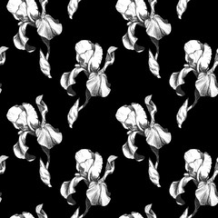 Floral seamless pattern with hand drawn ink iris flowers on black background. Flowers lined up in harmonious geometric sequence