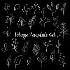 Foliage doodle template, foliage simple vector, nature and flower