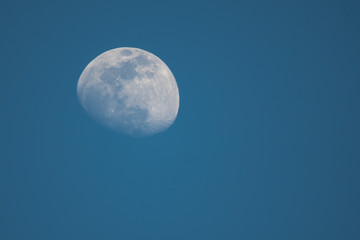 Moon as background / The Moon is an astronomical body that orbits planet Earth, being Earth's only permanent natural satellite